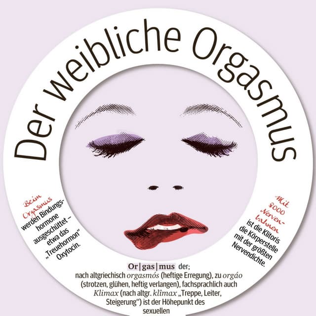 Der weibliche Orgasmus Infografik PDF