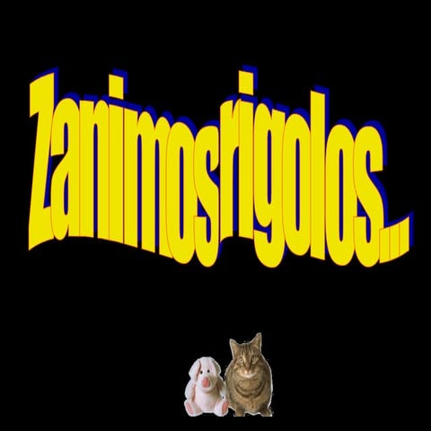 Des Annimaux Rigolos