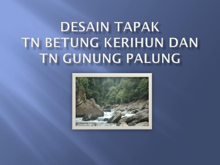 Desain tapak TN Betung Kerihun dan TN Gunung Palung