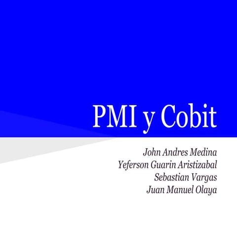 PMI y Cbit