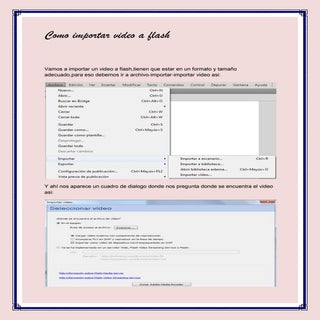 Desarrollo como importar video a flash