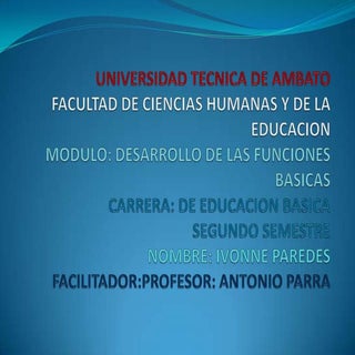 Desarrollo de las funciones basicas