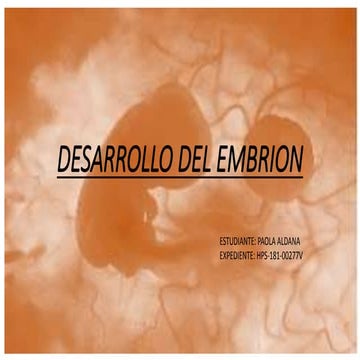 Desarrollo del embrion | PPTX