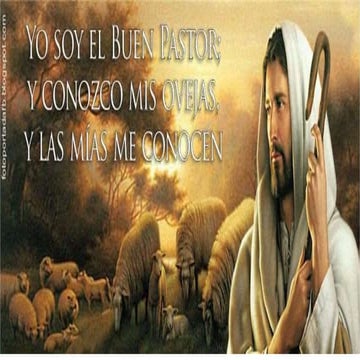 Desarrollo del liderazgo 3