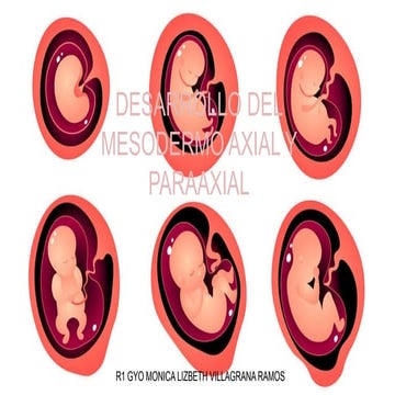 DESARROLLO DEL MESODERMO AXIAL Y PARAAXIAL.pptx