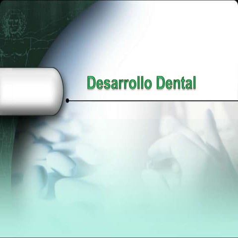 Desarrollo dental