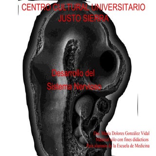 Desarrollo embriologico del sistema...