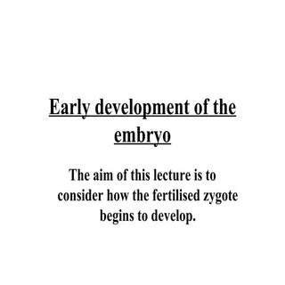 Desarrollo embrionario