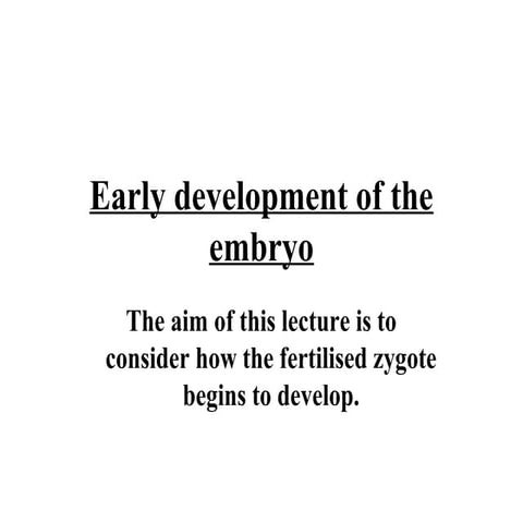 Desarrollo embrionario