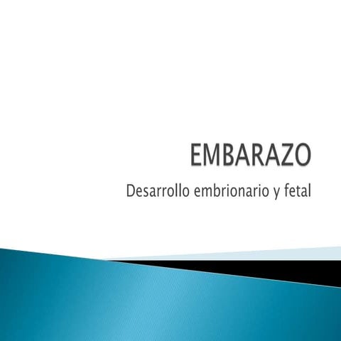 Desarrollo embrionario
