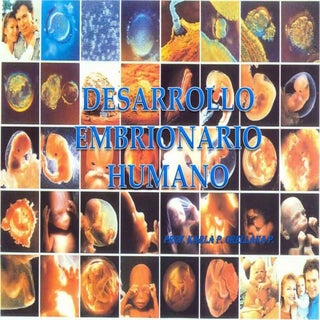 Desarrollo embrionario
