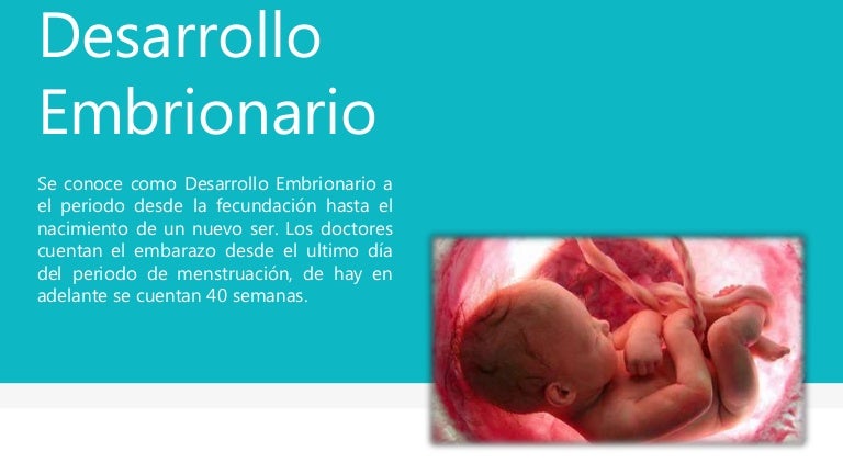 Calambres menstruales doloridos al orinar