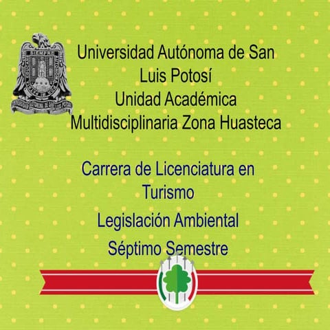 Desarrollo forestal San Luis Potosí