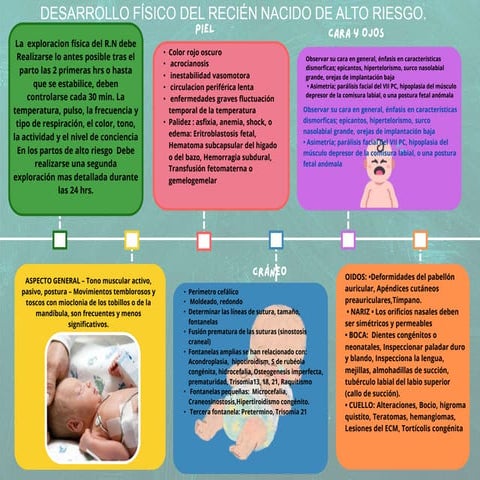 _desarrollo físico, neurológico del recién nacido de alto riesgo semana