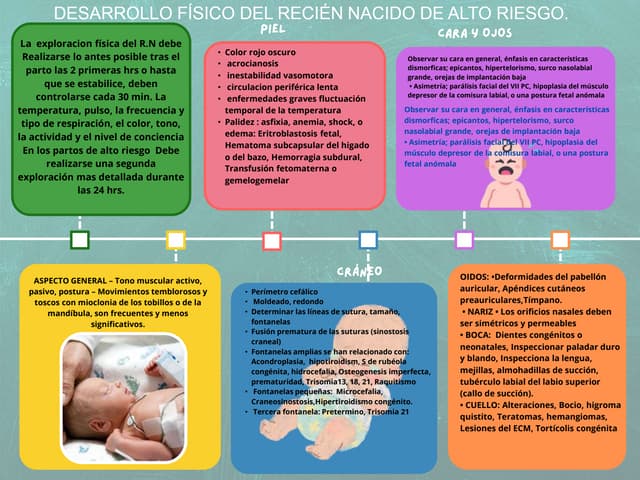 _desarrollo físico, neurológico del recién nacido de alto riesgo semana