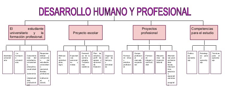 Desarrollo humano y profesional
