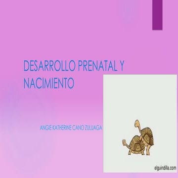 Desarrollo prenatal y nacimiento