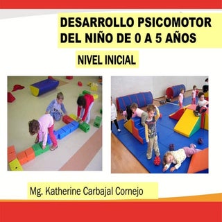 Desarrollo psicomotor