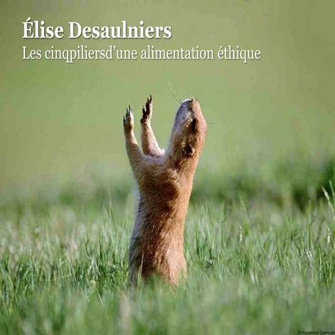 Élise Desaulniers - 5 piliers alimentation éthique