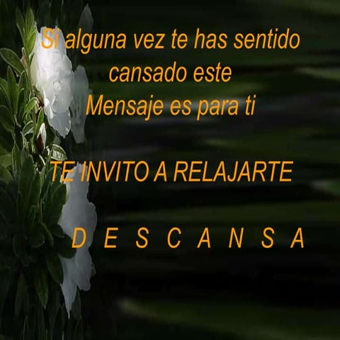 1. descansa(importante) | PPS