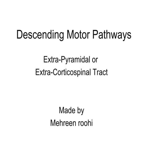 Descending motor pathways