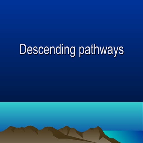 Descending pathways dr_khadija (1)