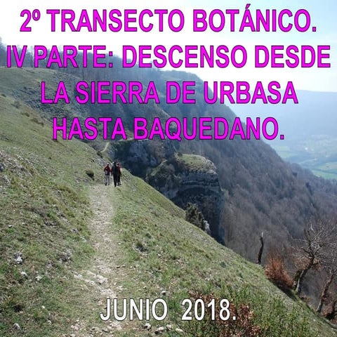 Descenso de la sierra a baquedano ala