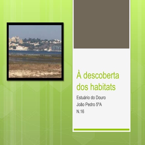 A Descoberta dos habitats