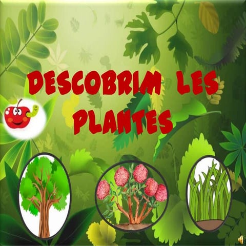 Descobrim  les plantes