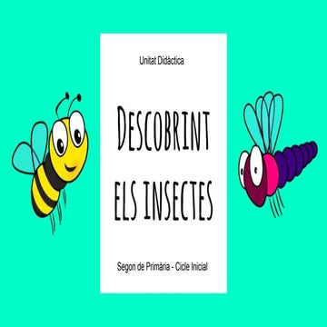 Descobrint els insectes 1