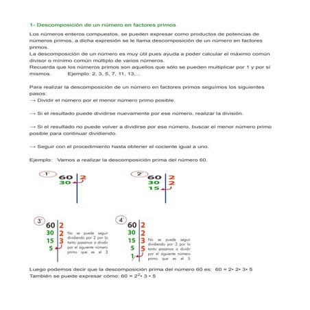 Descomposición en factores primos