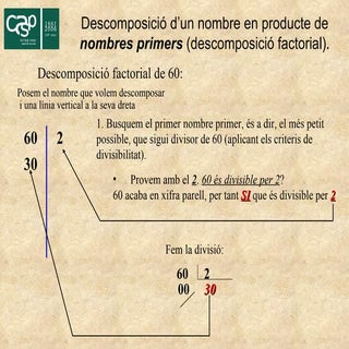 Descomposició factorial