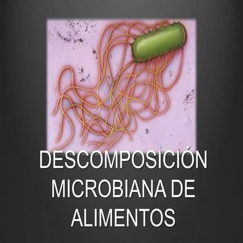 Principales Causas De Deterioro De Los Alimentos | PPT