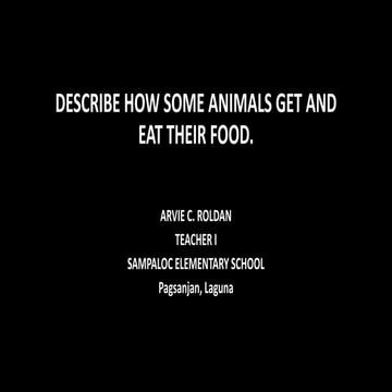Describe how some animals get and eat their