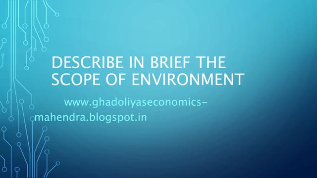 Describe in brief the scope of environment