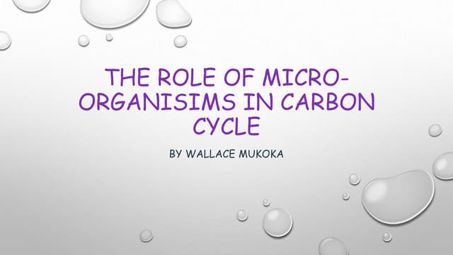 THE ROLE OF MICRO-ORGANISMS IN CARBON CYCLE