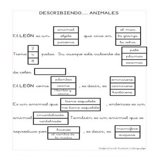 Describiendo animales león