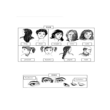 describing people physical appearance worksheet.pdf