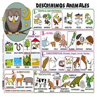Describir animales