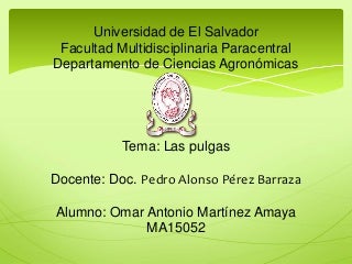 descripcindelaspulgas-160831163058-thumbnail-3.jpg