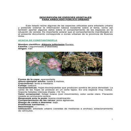 Descripcion de especies vegetales para arbolado urbano