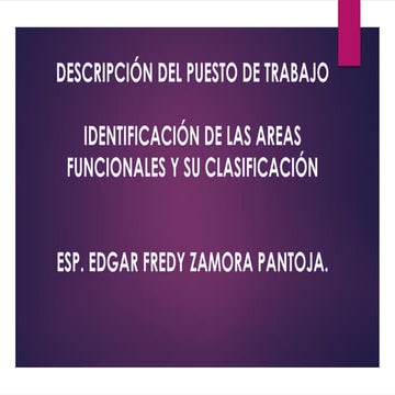 DESCRIPCION DEL PUESTO DE TRABAJO - AREAS FUNCIONALES..pptx