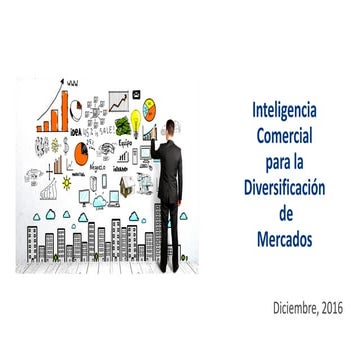 Descripcion de nuestros servicios de Inteligencia Comercial