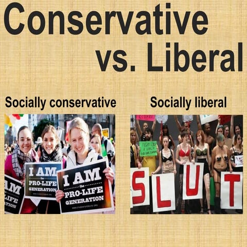 Socially conservative vs. socially liberal. | PDF