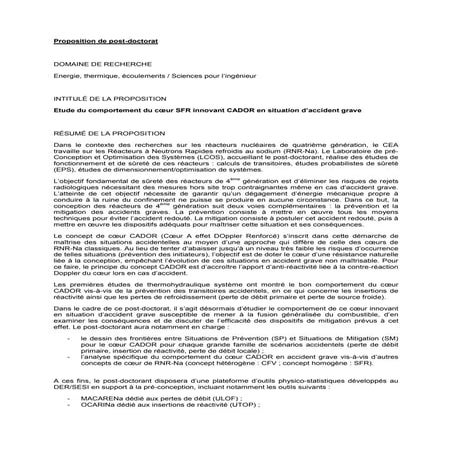 Etude du comportement du coeur SFR innovant CADOR en situation d’accident grave