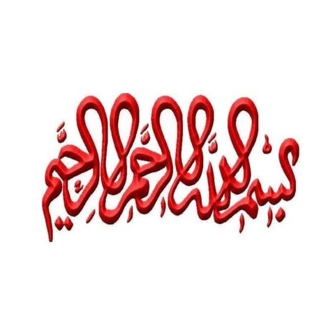 Descriptive anatomy of max and man canine