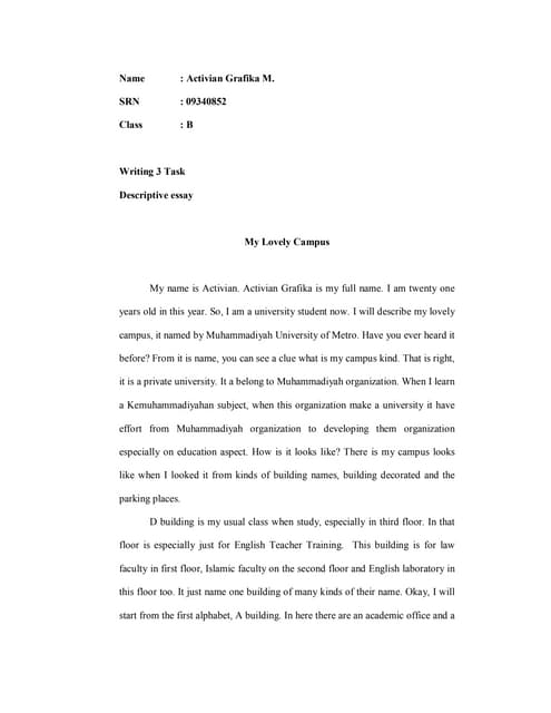 make a example to descriptive essay descriptive essay about my