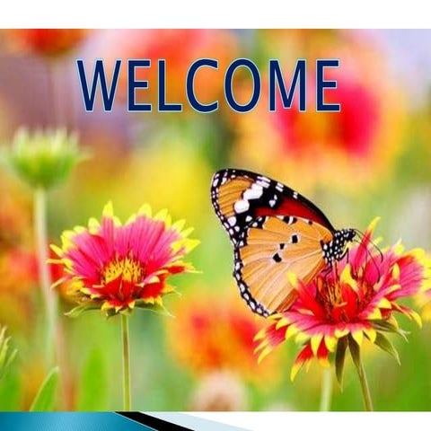 Descriptive research1 1