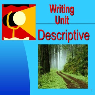 Descriptive writing 1