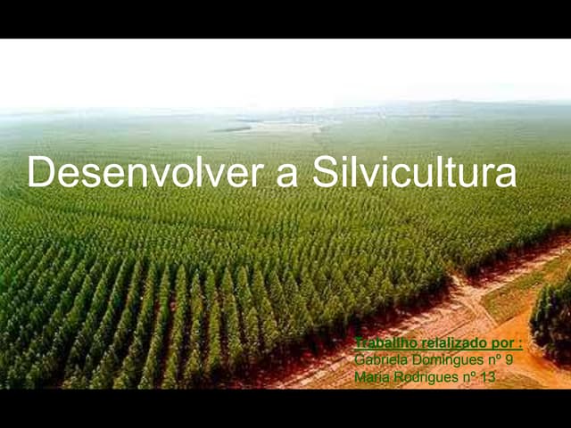 Desenvolver a silvicultura 11 6